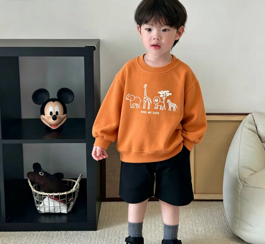 Baby Kids Casual Sweatshirt Wi - огляд і ціна Baby Zebra Clothing